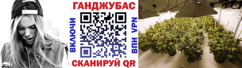 Бошки марихуана сатива  Сосенский 